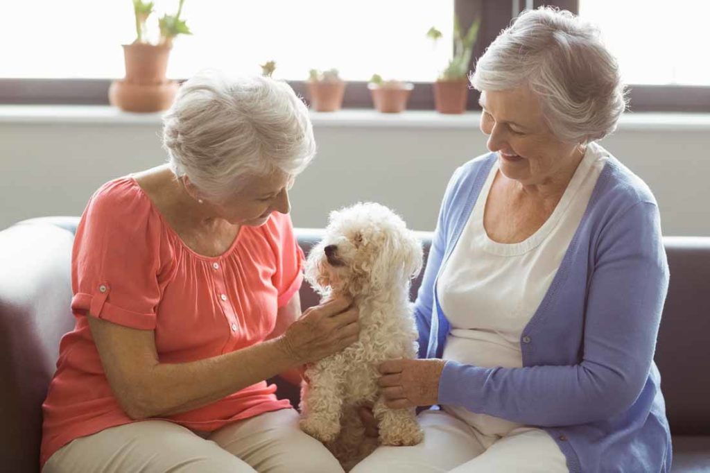 companionship home care trustontap